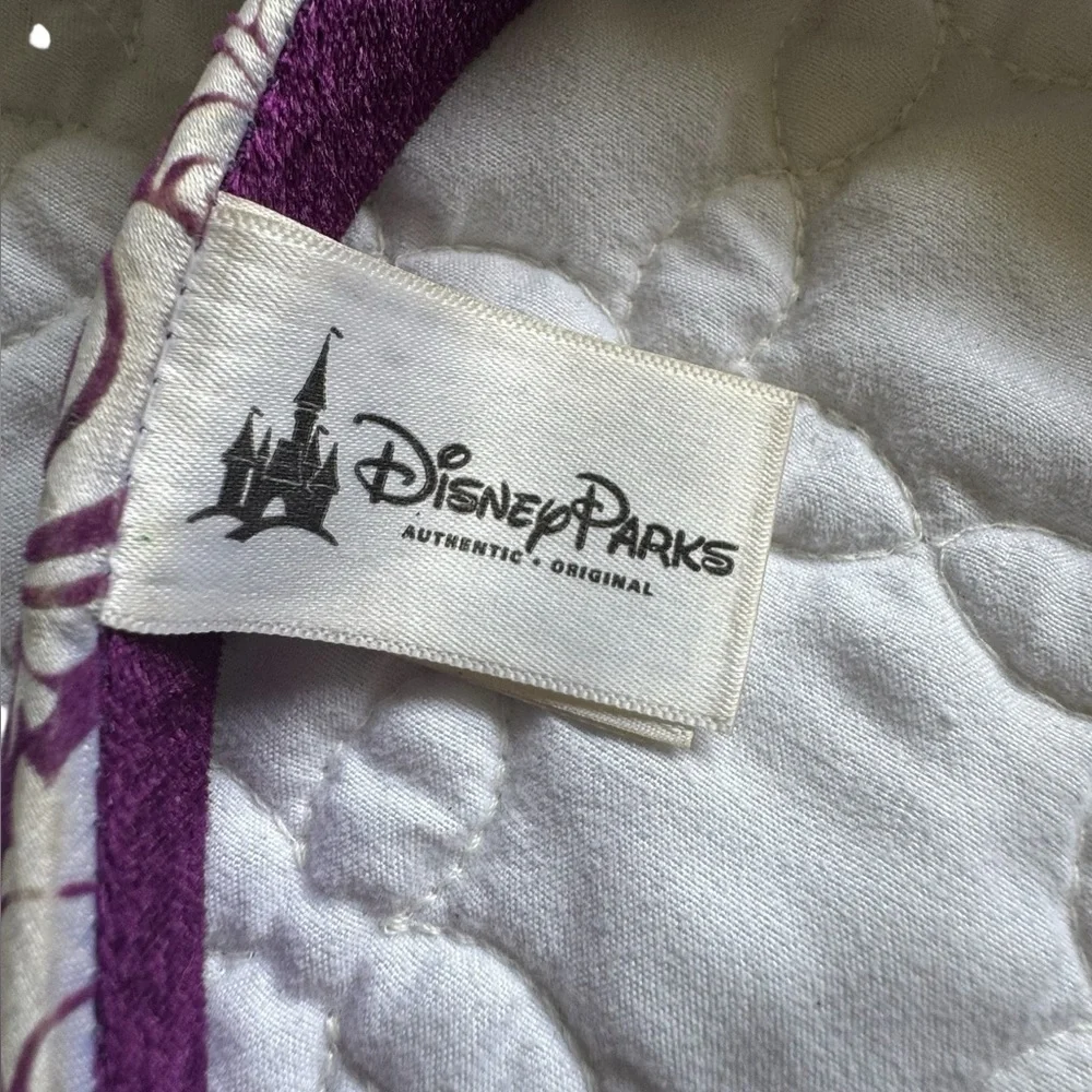 Disney excellent pre